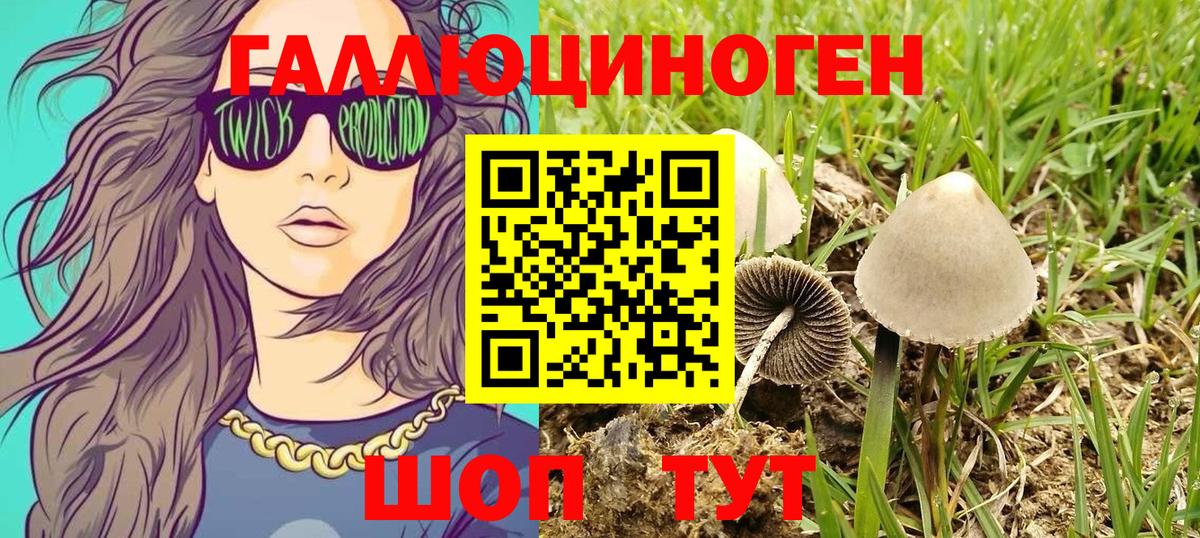 Елизово  Псилоцибиновые грибы GOLDEN TEACHER  Вход с VPN 